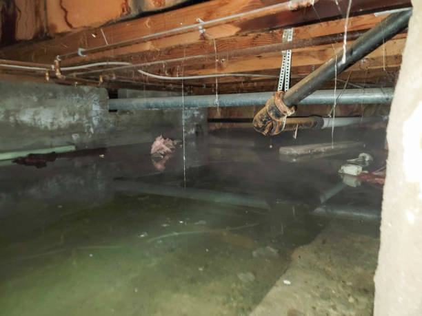 Best Flooded house restoration  in Sequim, WA