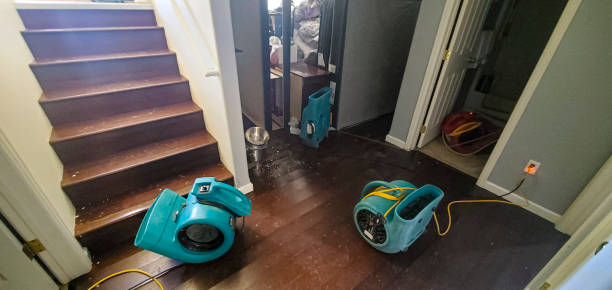 Best Water damage cleanup near me  in Sequim, WA