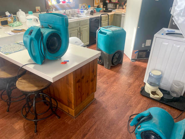 Local water damage restoration in WA