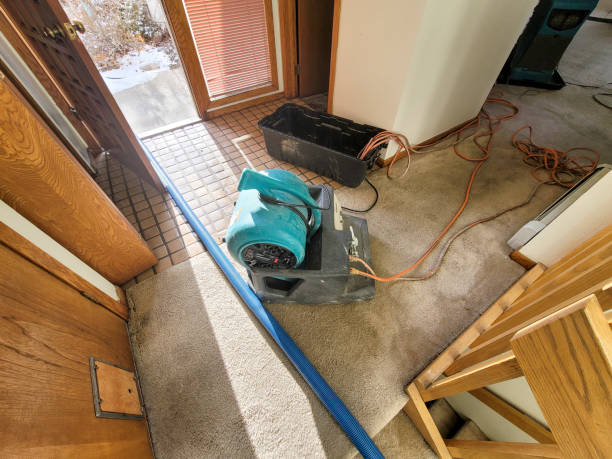 Best 24-hour water damage restoration  in Sequim, WA