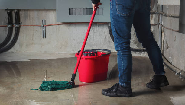 Best Fire Damage Restoration  in Sequim, WA
