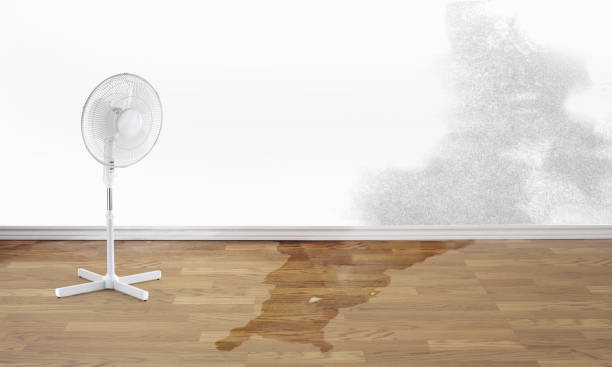 Best Flood damage cleanup  in Sequim, WA