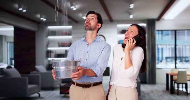 Best Carpet water damage restoration  in Sequim, WA